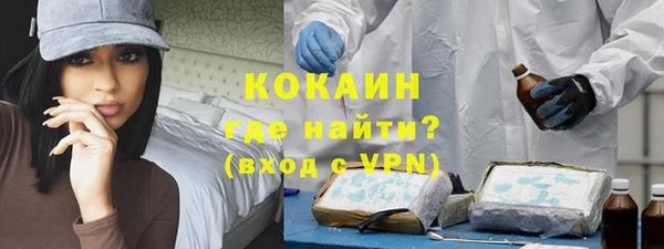 индика Волосово