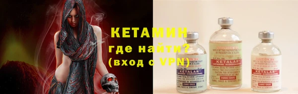 индика Волосово