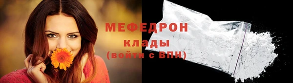 индика Волосово