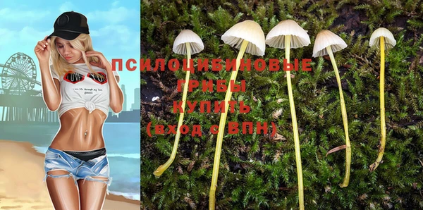 apvp Вязники