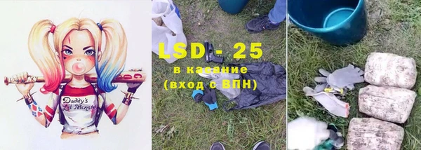 стафф Вязьма