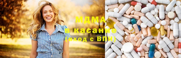 индика Волосово