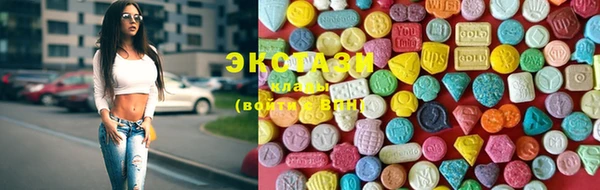 индика Волосово